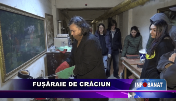 Fușăraie de Crăciun