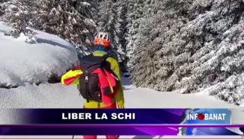 Liber la schi