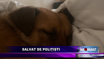 Salvat de polițiști