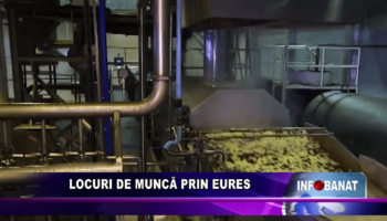 Locuri de muncă prin EURES