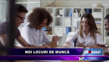 Noi locuri de muncă