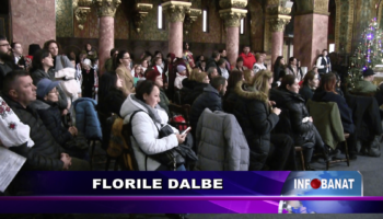 Florile dalbe