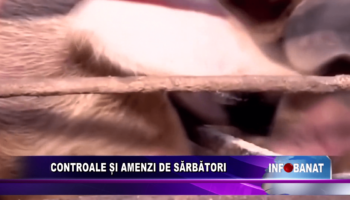 Controale și amenzi de sărbători