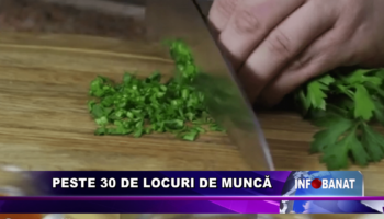 Peste 30 de locuri de muncă