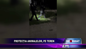 Protecția animalelor, pe teren