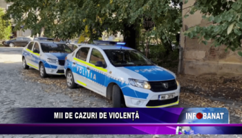 Mii de cazuri de violență