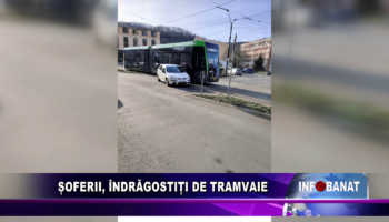 Șoferii, îndrăgostiți de tramvaie