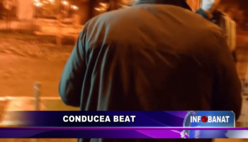 Conducea beat