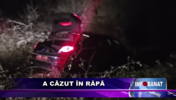 A căzut în râpă