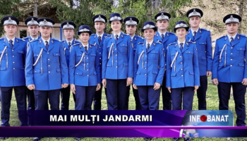 Mai mulți jandarmi