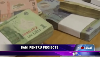Bani pentru proiecte
