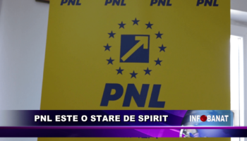 PNL este o stare de spirit