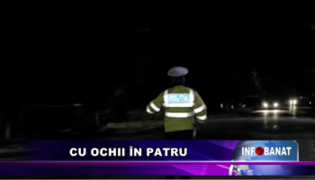 Cu ochii în patru