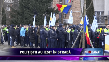 Polițiștii au iesit în stradă