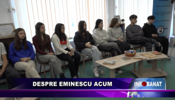 Despre Eminescu acum
