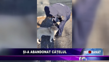 Și-a abandonat cățelul