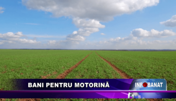 Bani pentru motorină