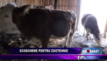 Ecoscheme pentru zootehnie