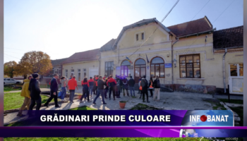 Grădinari prinde culoare