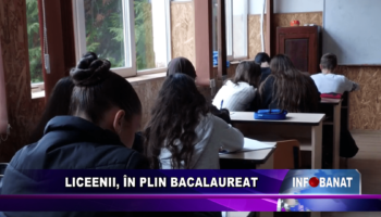 Liceenii, în plin Bacalaureat