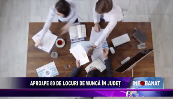 Aproape 80 de locuri de muncă în județ
