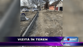 Vizită în teren