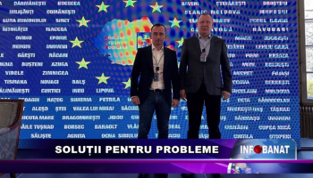 Soluții pentru probleme