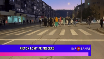Pieton lovit pe trecere