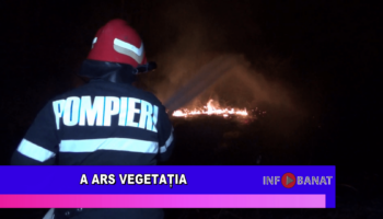 A ars vegetația