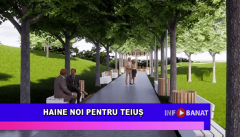 Haine noi pentru Teiuș