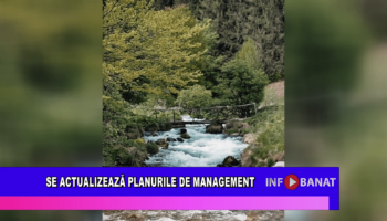 Se actualizează planurile de management