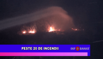 Peste 20 de incendii