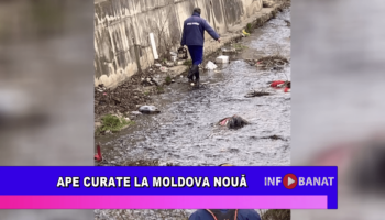 Ape curate la Moldova Nouă