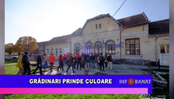 Grădinari prinde culoare