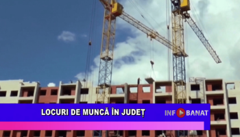 Locuri de muncă în județ