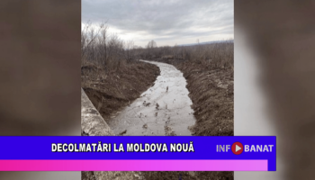 Decolmatări la Moldova Nouă
