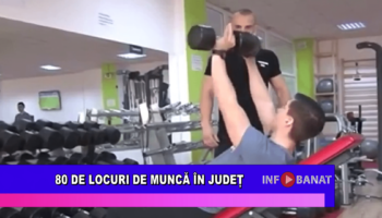 80 de locuri de muncă în județ
