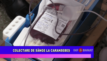 Colectare de sânge la Caransebeș