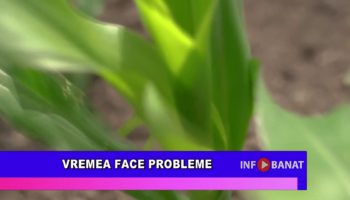 Vremea face probleme