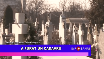 A furat un cadavru