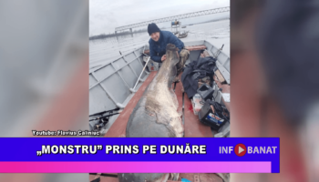 Monstru prins pe Dunăre