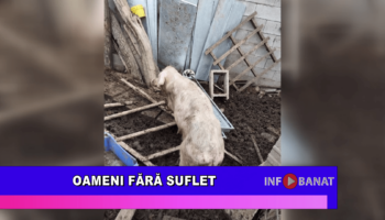 Oameni fără suflet