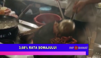 3,68% rata șomajului