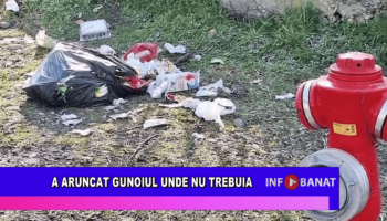 A aruncat gunoiul unde nu trebuia