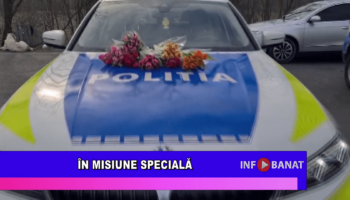În misiune specială