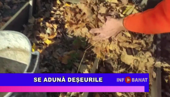Se adună deșeurile