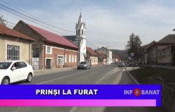 Prinși la furat