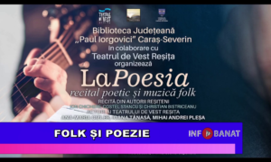 Folk și poezie