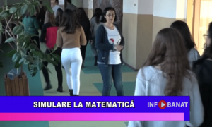 Simulare la matematică