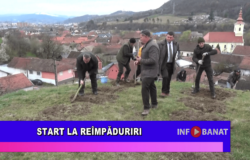 Start la reîmpăduriri